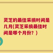 灵芝的最佳采摘时间是几月(灵芝采摘最佳时间是哪个月份？)