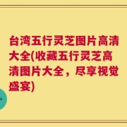 台湾五行灵芝图片高清大全(收藏五行灵芝高清图片大全，尽享视觉盛宴)