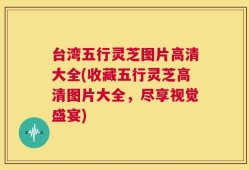 台湾五行灵芝图片高清大全(收藏五行灵芝高清图片大全，尽享视觉盛宴)