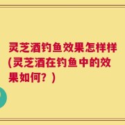 灵芝酒钓鱼效果怎样样(灵芝酒在钓鱼中的效果如何？)