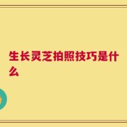 生长灵芝拍照技巧是什么