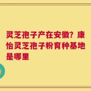 灵芝孢子产在安徽？康怡灵芝孢子粉育种基地是哪里