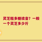 灵芝粗多糖读音？一般一个灵芝多少斤