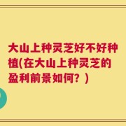 大山上种灵芝好不好种植(在大山上种灵芝的盈利前景如何？)