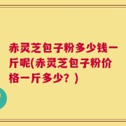 赤灵芝包子粉多少钱一斤呢(赤灵芝包子粉价格一斤多少？)
