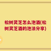 松树灵芝怎么泡酒(松树灵芝酒的泡法分享)