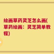 绘画草药灵芝怎么画(草药绘画：灵芝简单教程)