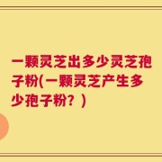 一颗灵芝出多少灵芝孢子粉(一颗灵芝产生多少孢子粉？)