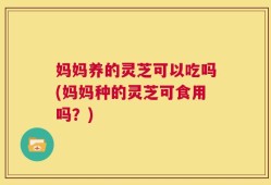 妈妈养的灵芝可以吃吗(妈妈种的灵芝可食用吗？)