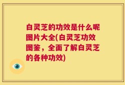 白灵芝的功效是什么呢图片大全(白灵芝功效图鉴，全面了解白灵芝的各种功效)