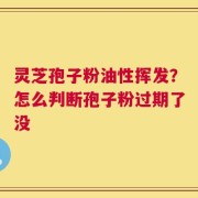 灵芝孢子粉油性挥发？怎么判断孢子粉过期了没