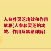 人参养灵芝功效和作用禁忌(人参和灵芝的功效、作用及禁忌详解)