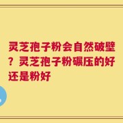 灵芝孢子粉会自然破壁？灵芝孢子粉碾压的好还是粉好