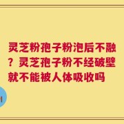灵芝粉孢子粉泡后不融？灵芝孢子粉不经破壁就不能被人体吸收吗