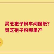 灵芝孢子粉车间图纸？灵芝孢子粉哪里产