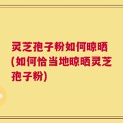 灵芝孢子粉如何晾晒 (如何恰当地晾晒灵芝孢子粉)