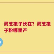 灵芝孢子长在？灵芝孢子粉哪里产