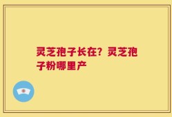灵芝孢子长在？灵芝孢子粉哪里产