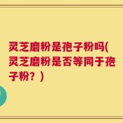 灵芝磨粉是孢子粉吗(灵芝磨粉是否等同于孢子粉？)