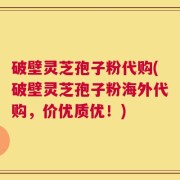 破壁灵芝孢子粉代购(破壁灵芝孢子粉海外代购，价优质优！)