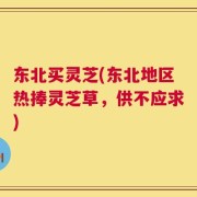 东北买灵芝(东北地区热捧灵芝草，供不应求)
