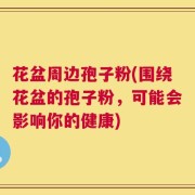 花盆周边孢子粉(围绕花盆的孢子粉，可能会影响你的健康)