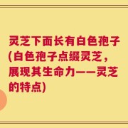 灵芝下面长有白色孢子(白色孢子点缀灵芝，展现其生命力——灵芝的特点)