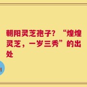 朝阳灵芝孢子？“煌煌灵芝，一岁三秀”的出处