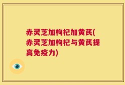 赤灵芝加枸杞加黄芪(赤灵芝加枸杞与黄芪提高免疫力)