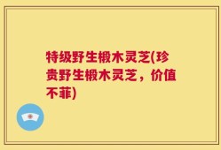 特级野生椴木灵芝(珍贵野生椴木灵芝，价值不菲)