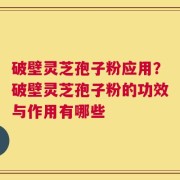 破壁灵芝孢子粉应用？破壁灵芝孢子粉的功效与作用有哪些