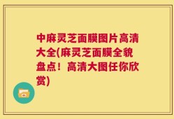 中麻灵芝面膜图片高清大全(麻灵芝面膜全貌盘点！高清大图任你欣赏)