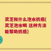 灵芝和什么泡水抗癌(灵芝泡水喝 这种方法能帮助抗癌)