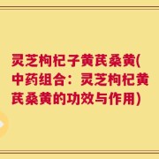 灵芝枸杞子黄芪桑黄(中药组合：灵芝枸杞黄芪桑黄的功效与作用)