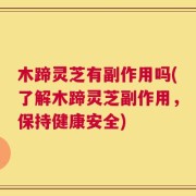木蹄灵芝有副作用吗(了解木蹄灵芝副作用，保持健康安全)