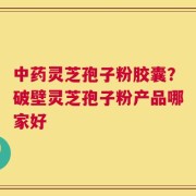 中药灵芝孢子粉胶囊？破壁灵芝孢子粉产品哪家好