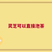 灵芝可以直接泡茶
