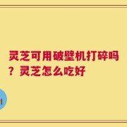 灵芝可用破壁机打碎吗？灵芝怎么吃好