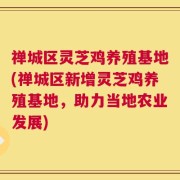 禅城区灵芝鸡养殖基地(禅城区新增灵芝鸡养殖基地，助力当地农业发展)
