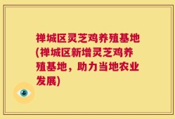 禅城区灵芝鸡养殖基地(禅城区新增灵芝鸡养殖基地，助力当地农业发展)