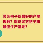 灵芝孢子粉最好的产地视频？探访灵芝孢子粉最佳生产基地？