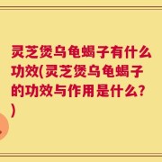 灵芝煲乌龟蝎子有什么功效(灵芝煲乌龟蝎子的功效与作用是什么？)