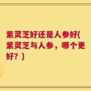 紫灵芝好还是人参好(紫灵芝与人参，哪个更好？)