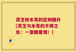 灵芝和木耳的区别图片(灵芝与木耳的不同之处：一张图看懂！)