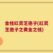 金枝红灵芝孢子(红灵芝孢子之黄金之枝)