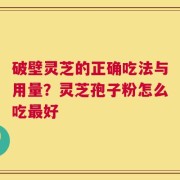 破壁灵芝的正确吃法与用量？灵芝孢子粉怎么吃最好