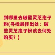 到哪里去破壁灵芝孢子粉(寻找最佳出处：破壁灵芝孢子粉该去何处购买？)