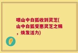 喂山中白狐收到灵芝(山中白狐受惠灵芝之赐，焕发活力)
