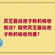 灵芝菌丝孢子粉的吸收情况？探究灵芝菌丝孢子粉的吸收效果？