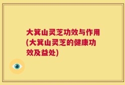 大箕山灵芝功效与作用(大箕山灵芝的健康功效及益处)